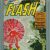 Flash 110 CGC 6.0 DC 1959 Origin and 1st Appearance of Kid Flash!